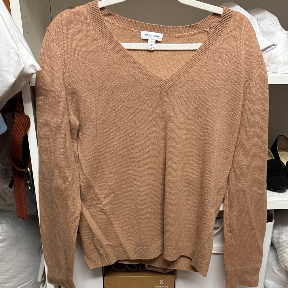 Nordstrom Women's V-Neck Pure Cashmere Sweater in Warm Tan